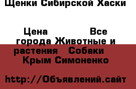 Щенки Сибирской Хаски › Цена ­ 20 000 - Все города Животные и растения » Собаки   . Крым,Симоненко